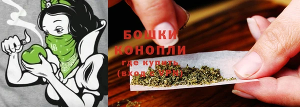 стаф Богданович