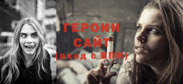 индика Богородицк