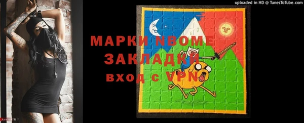индика Богородицк