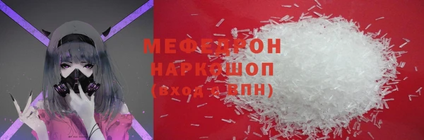 индика Богородицк