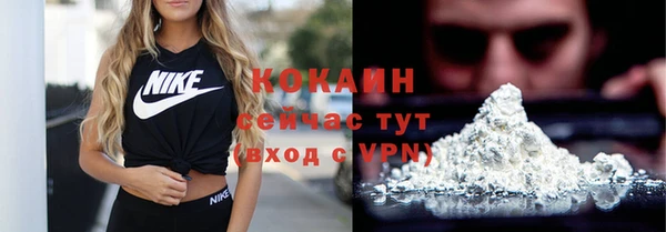 стаф Богданович