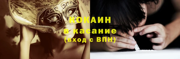 стаф Богданович