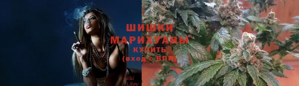 круглые Тавда