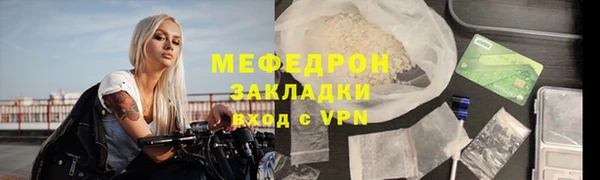 индика Богородицк