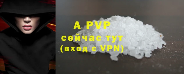 стаф Богданович