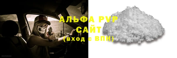 стаф Богданович