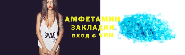 индика Богородицк
