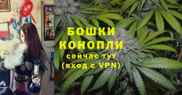 стаф Богданович
