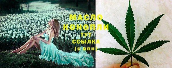 индика Богородицк
