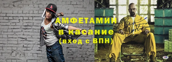 индика Богородицк
