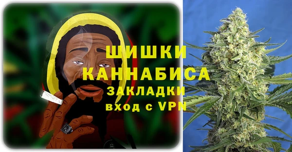 стаф Богданович