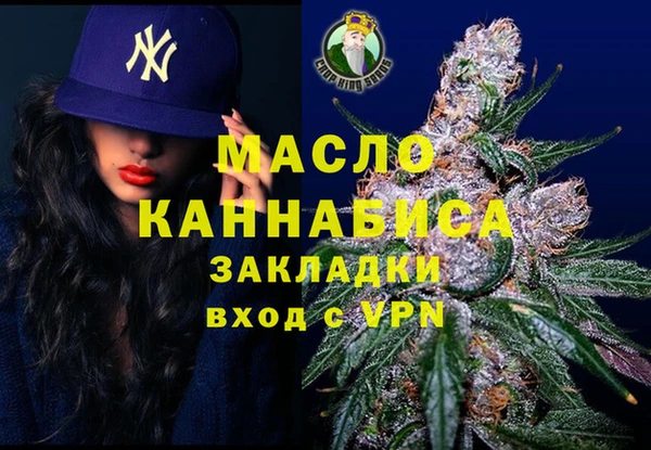 индика Богородицк