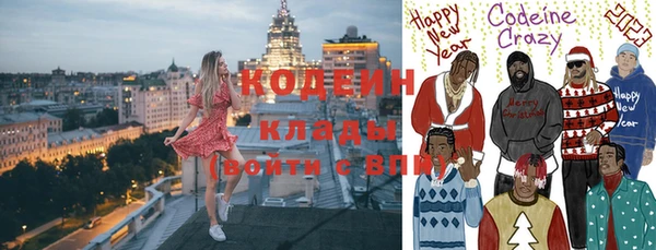 индика Богородицк