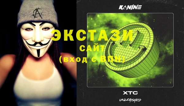 стаф Богданович