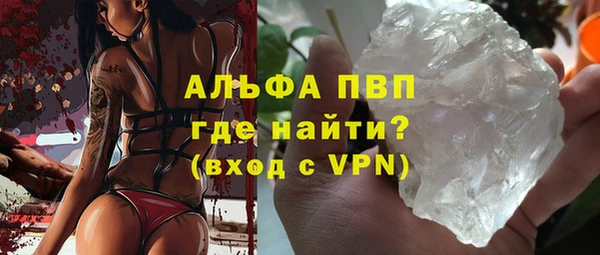 индика Богородицк