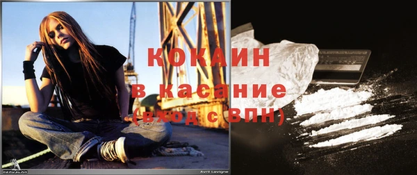 стаф Богданович