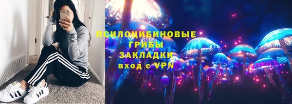 индика Богородицк