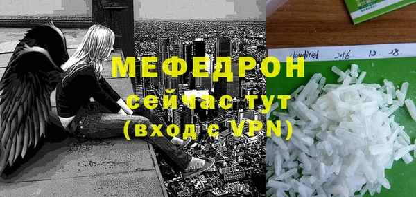 стаф Богданович
