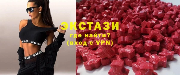 индика Богородицк