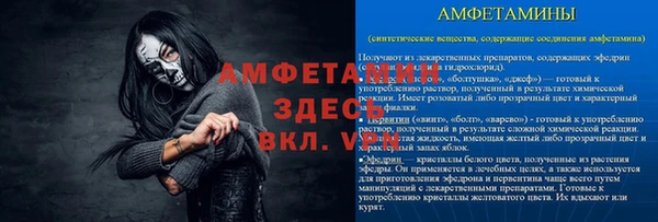 индика Богородицк