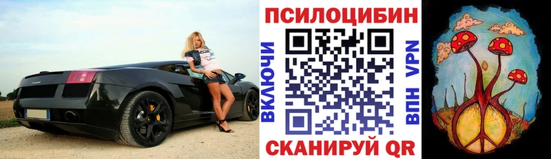 Псилоцибиновые грибы мухоморы  shop Telegram  Краснокамск  blacksprut зеркало 
